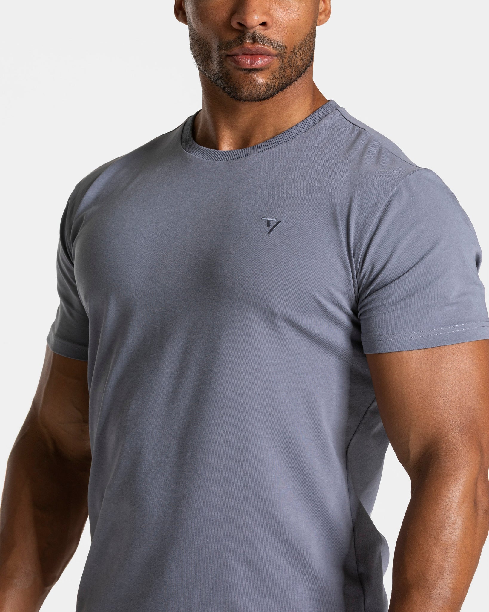 Timeless Pro Fitted T-Shirt "Eisgrau"